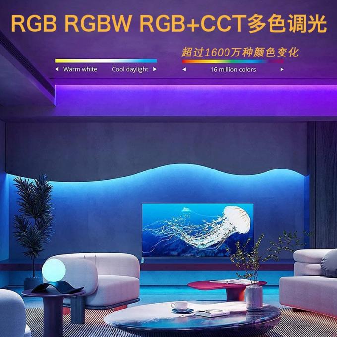 السحر التجاري COB شريط LED حلم كامل اللون DC 24V قابل للتوجيه 5