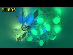 ضوء النقطة LED